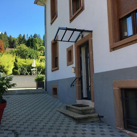 Les Magnolias En Alsace - Meuble De Tourisme 3 Etoiles Apartment Barembach Ngoại thất bức ảnh