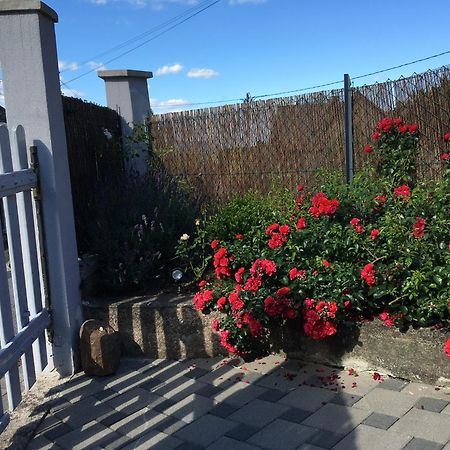 Les Magnolias En Alsace - Meuble De Tourisme 3 Etoiles Apartment Barembach Ngoại thất bức ảnh