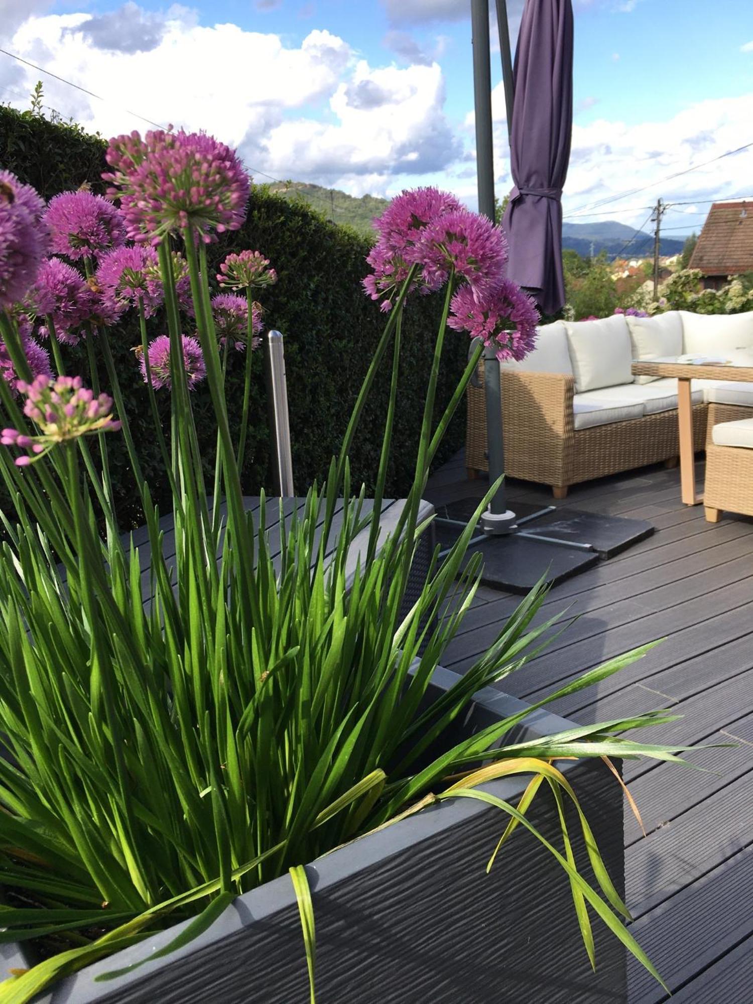 Les Magnolias En Alsace - Meuble De Tourisme 3 Etoiles Apartment Barembach Ngoại thất bức ảnh