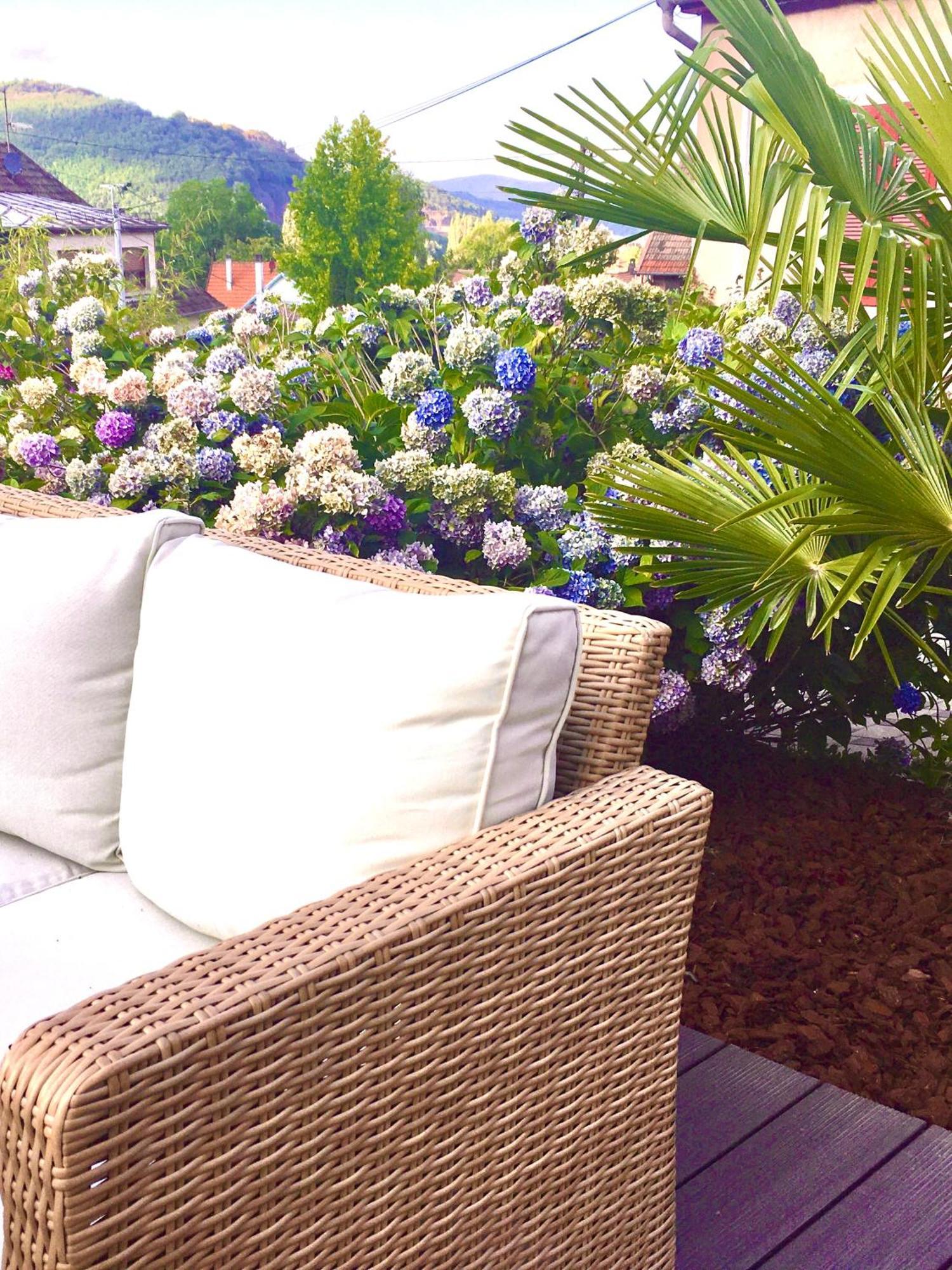 Les Magnolias En Alsace - Meuble De Tourisme 3 Etoiles Apartment Barembach Ngoại thất bức ảnh