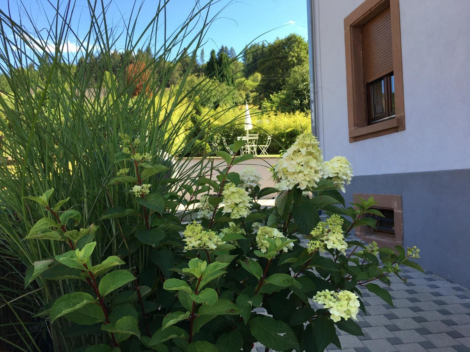 Les Magnolias En Alsace - Meuble De Tourisme 3 Etoiles Apartment Barembach Ngoại thất bức ảnh