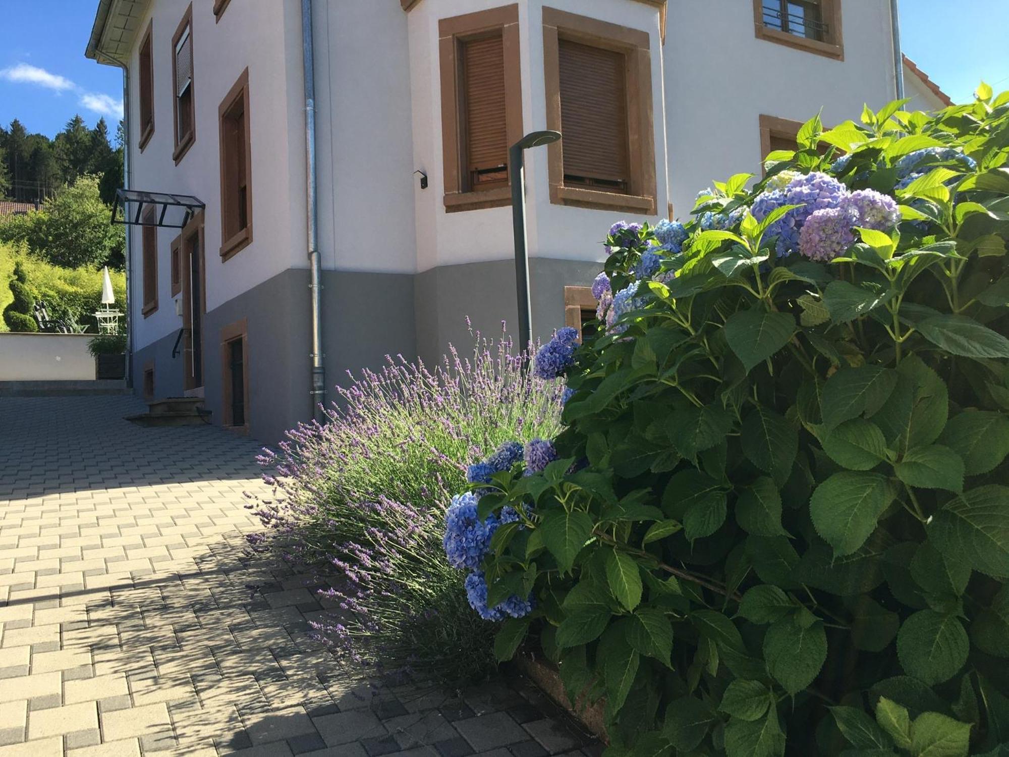 Les Magnolias En Alsace - Meuble De Tourisme 3 Etoiles Apartment Barembach Ngoại thất bức ảnh