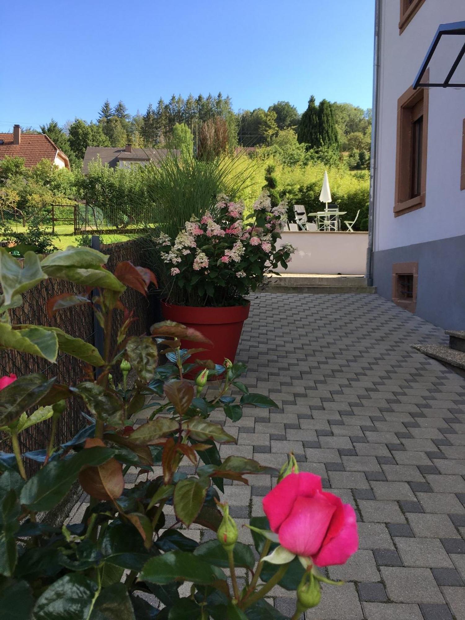Les Magnolias En Alsace - Meuble De Tourisme 3 Etoiles Apartment Barembach Ngoại thất bức ảnh
