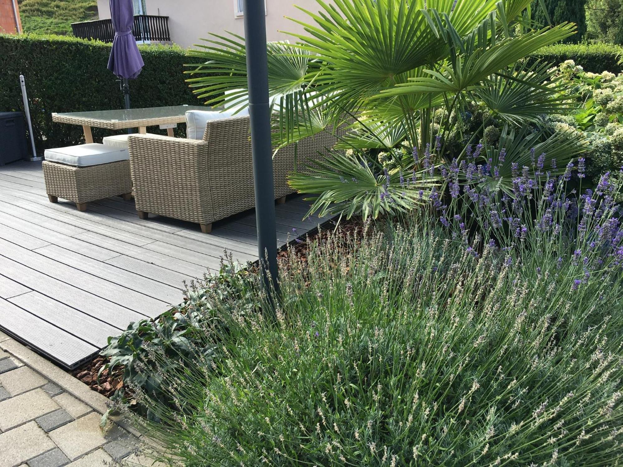 Les Magnolias En Alsace - Meuble De Tourisme 3 Etoiles Apartment Barembach Ngoại thất bức ảnh