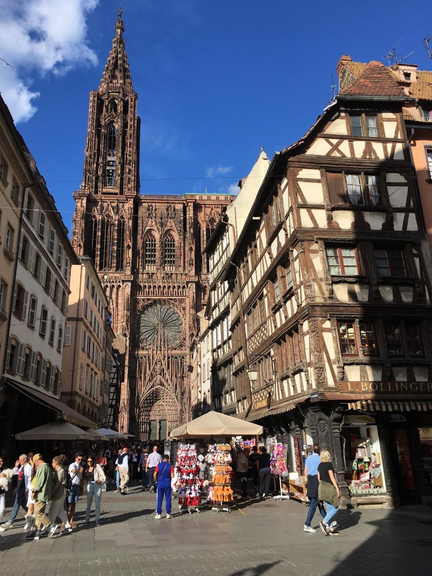 Les Magnolias En Alsace - Meuble De Tourisme 3 Etoiles Apartment Barembach Ngoại thất bức ảnh